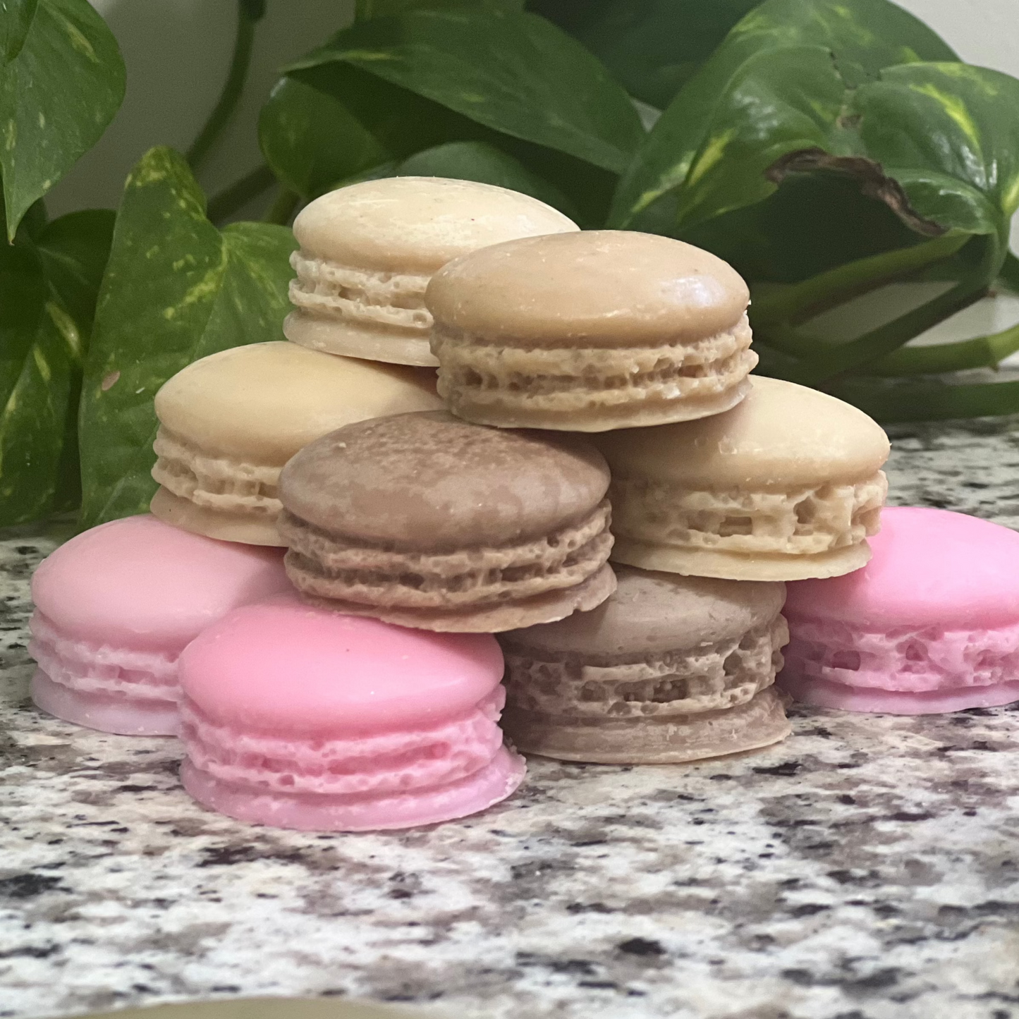 Macaron Wax Melts (Pack of 12)