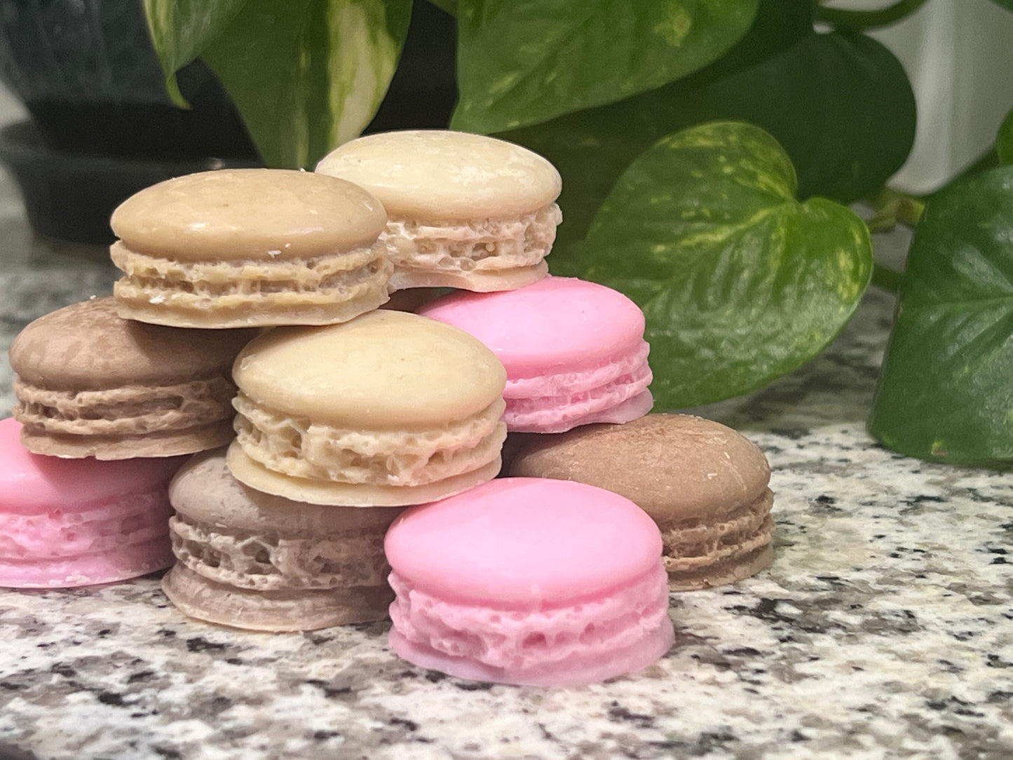 Macaron Wax Melts (Pack of 12)