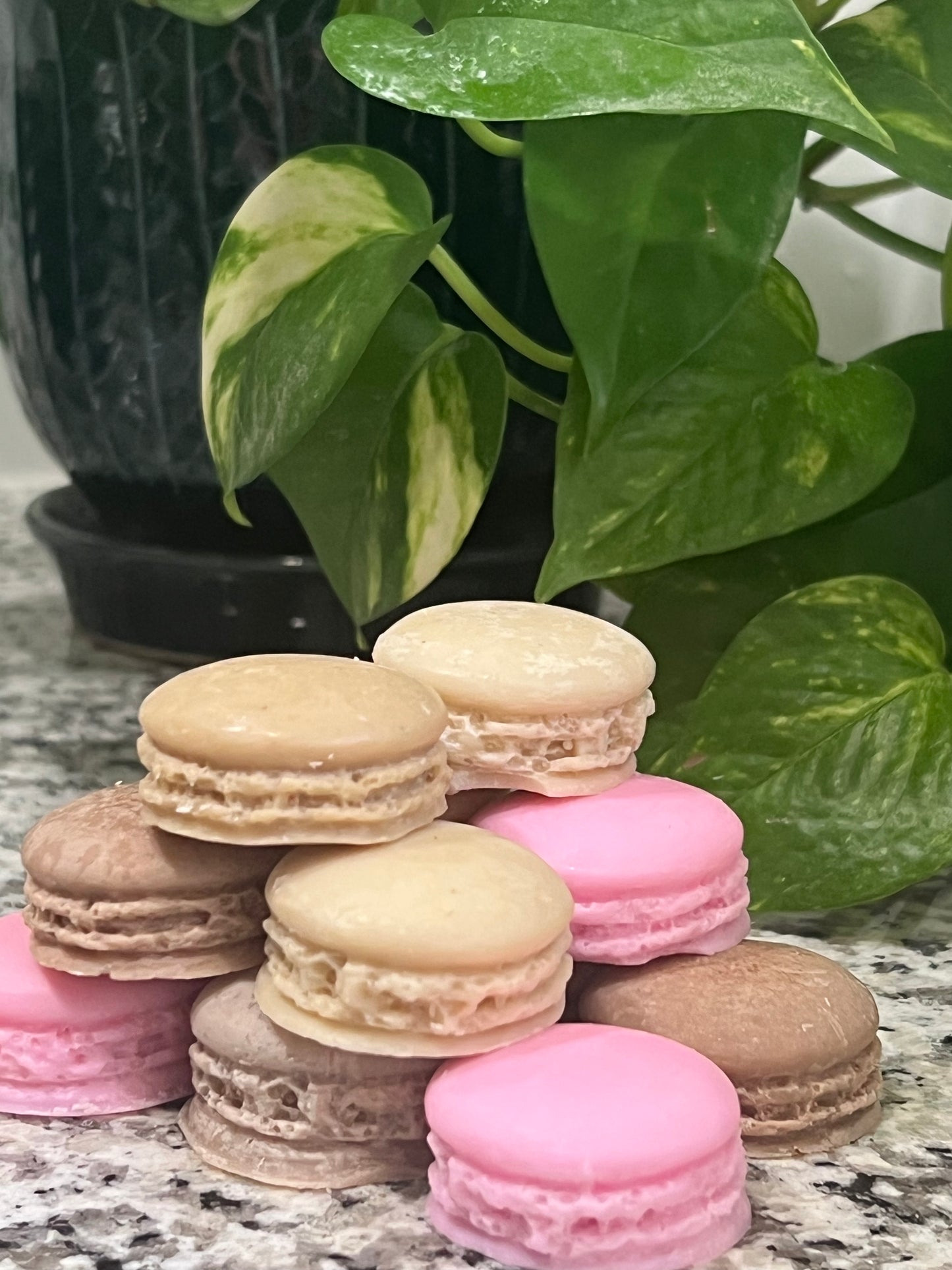 Macaron Wax Melts (Pack of 12)